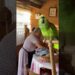 El Chisme Que Sacudió A Toda La Familia