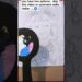 wait for it ❤️🧿#shortsfeed #shorts #art #drawing #painting #artist #artwork