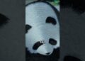 The Ancient Art of Silk Embroidery