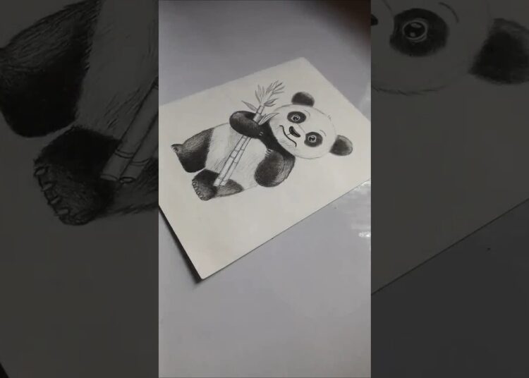 Cute Panda Drawing | Pencil Drawing | Artist Naz #shortvideo #viral #trending #new #yt #drawing