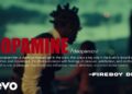 Fireboy DML – Dopamine (Official Visualizer)