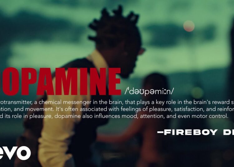 Fireboy DML – Dopamine (Official Visualizer)