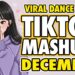 New Tiktok Mashup 2025 Philippines Party Music Viral Dance Trends December 17th