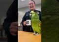 funny parrot gossips with officer🤣🐦🙌