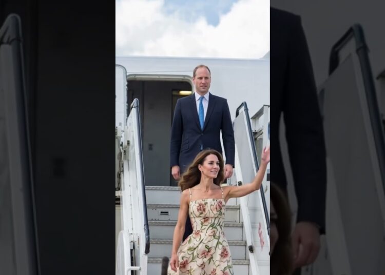 Princess Catherine’s Dress Did This… And Prince William Instantly Reacted Celebrity Royals #royal