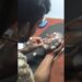 Snake Painting on Stone #shorts #viral #art #painting #reels #artist