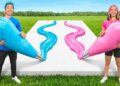 Best Frosting Painting Wins $10,000!
