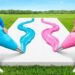 Best Frosting Painting Wins $10,000!