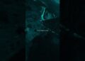 Royalty — Egzod & Maestro Chives Feat. Neoni​ | #lyrics #music #song #royalty #edm #sad #edit