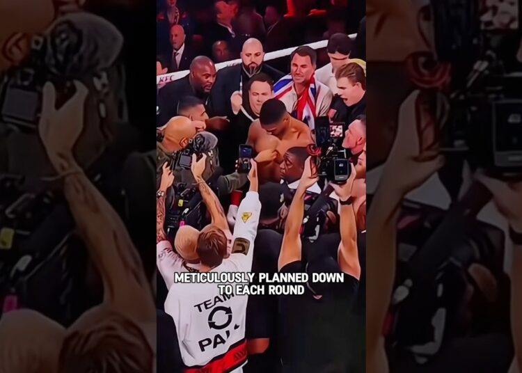No wonder AJ raised Jake Paul’s hand#shorts #shortvideo #trending #actress #celebrity