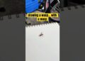 i think he tried to take some paper :3 #sketch  #bugs #artist #art #cute #fyp #drawing