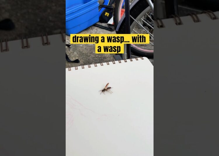 i think he tried to take some paper :3 #sketch  #bugs #artist #art #cute #fyp #drawing