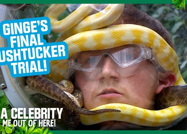 Ginge comes face-to-face with spiders and snakes! | I’m A Celebrity… Get Me Out of Here! 2025
