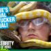 Ginge comes face-to-face with spiders and snakes! | I’m A Celebrity… Get Me Out of Here! 2025