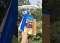 jay Jagannath ❤️‍🔥#art #artist #viralvideo #viral #painting #shorts #youtubeshorts #ratemyart