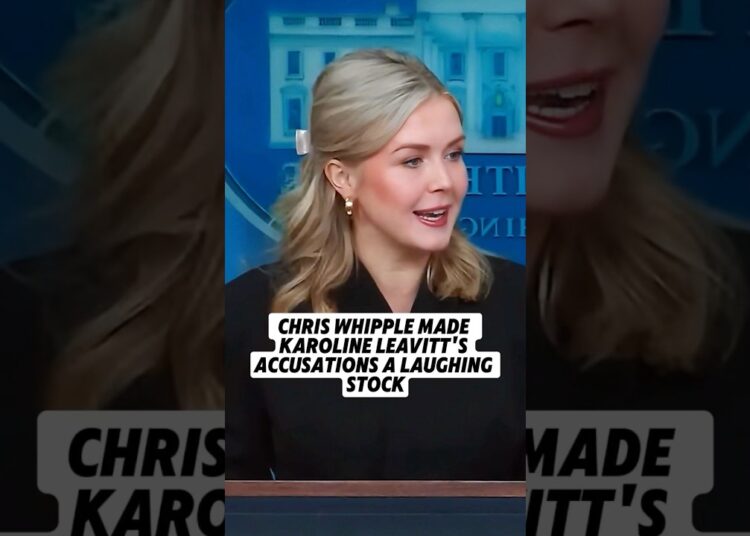 Chris Whipple made Karoline Leavitt’s accusations a laughing stock. -1#shorts#celebrity