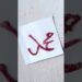 Muhammad name calligraphy 🌙🌹#shorts #artist #artwork
