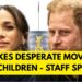 MYSTERY KIDS OF SUSSEX PLAN TO REVEAL THIS NEXT #royal #meghan #princeharry