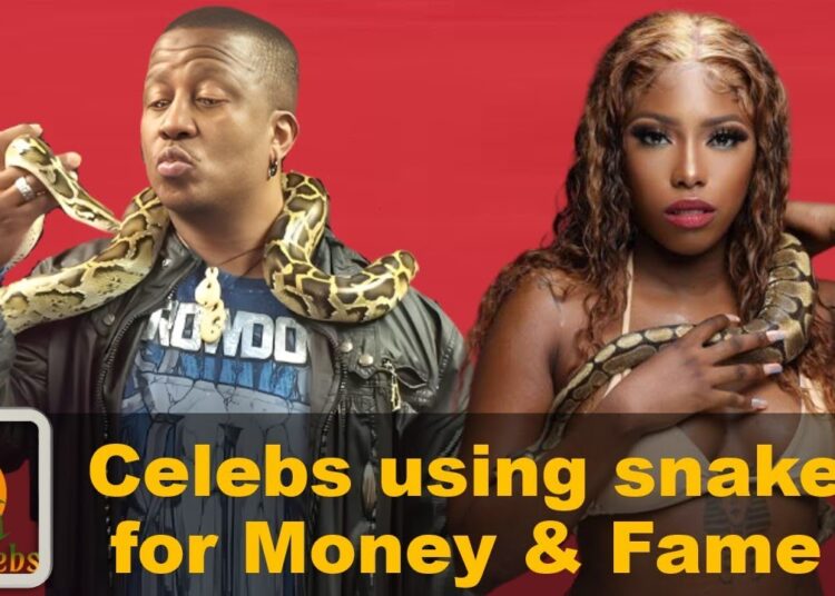 10 Mzansi Celebs who Used Snakes for Riches