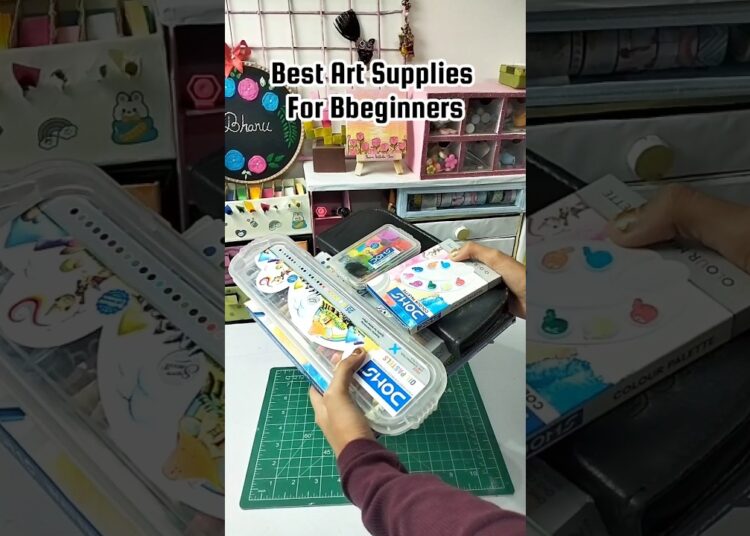 Best Art Supplies For Beginners ✨❤️ #shorts #doms #artsupplies #shortsviral  #bhanusoniarts