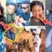 TikToker Owura ‘Sarkodie’ D!£S In Amsterdam After Lady CUR$ED Him Over TikTok B££f – FULL STORY