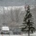 A look back at a year of gardening in Cincinnati, from cicadas to snow