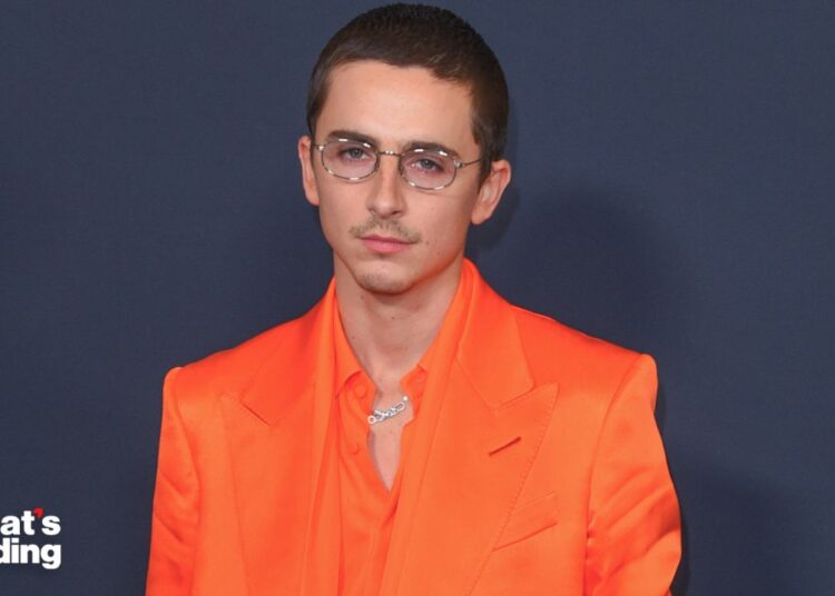 Actor Timothée Chalamet and British rapper EsDeeKid’s new music video just made conspiracy theories worse