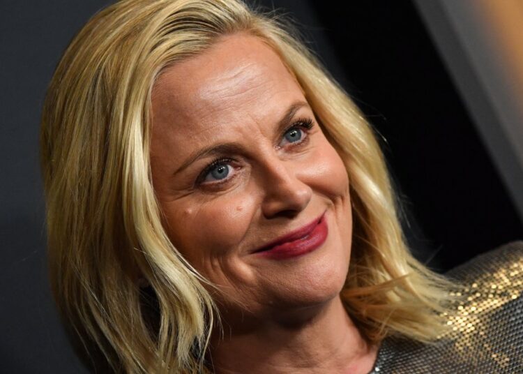 Amy Poehler swears on flight in front of baby, fights with costar – NBC Boston