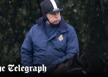 Andrew can stay at Royal Lodge for another year