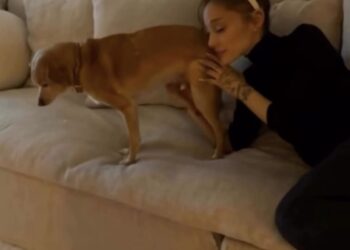 person sitting on a couch next to a dog