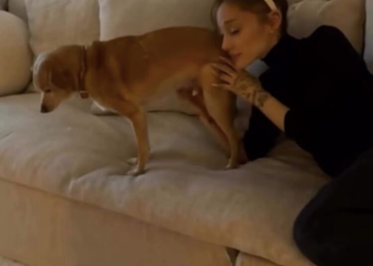 person sitting on a couch next to a dog