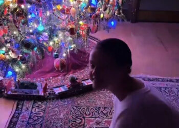 decorated christmas tree with lights and ornaments alongside a person on a rug