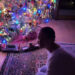 decorated christmas tree with lights and ornaments alongside a person on a rug