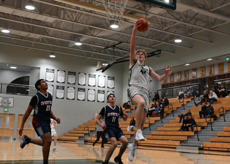 Boys basketball blows out Royals – The Paly Voice