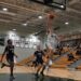 Boys basketball blows out Royals – The Paly Voice