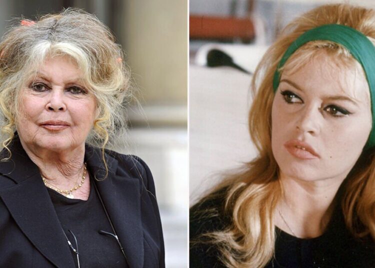 Brigitte Bardot dead: Actress dies aged 91 after 'sudden illness' | Celebrity News | Showbiz & TV