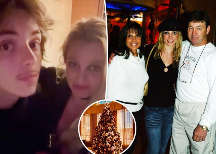 Britney Spears roasts 'innocent' family in sarcastic Christmas post after spending holiday with son Jayden