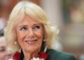 Camera Captures Striking Photo of Queen Camilla in Carriage
