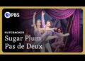 Can't attend a 'Nutcracker' performance this year? PBS has an alternative
