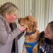 Canton, Ohio area dog is a winner on film set of 'Air Bud Returns'