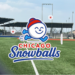 Chicago Snowballs Aim to Reinvent Baseball with Entertainment