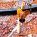 Chris Brazzell Tennessee WR declares for 2026 NFL Draft, Music City Bowl opt out