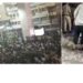 DC Edit | Pushpa 2 Stampede: Actors Liable