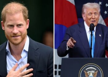 Donald Trump steals 'title' from Prince Harry with unusual move | Royal | News