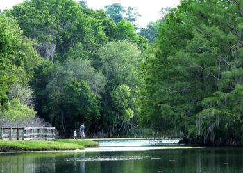 Entertainment in Gainesville and Alachua County Florida January 2026