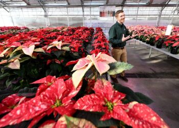 Events in Loveland this weekend and beyond