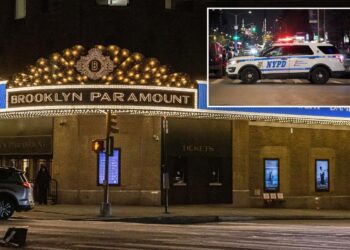 Exclusive | Crafty pickpockets swipe dozens of more phones from NYC music venues