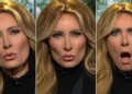Fake Melania Confirms True Feelings About Christmas With Punch Line About Trump