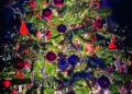 HT19Xmas_Dia Mirza-tree