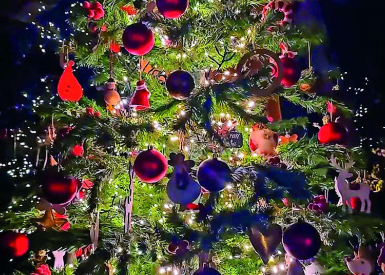 HT19Xmas_Dia Mirza-tree